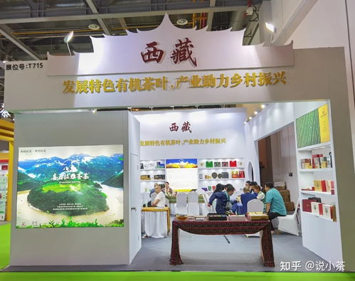 西藏茶园 高原之上的茶香秘境