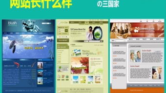 网站建设 打造您的在线门户